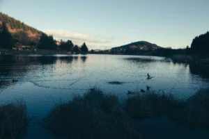 Trademark Market Update — April 30, 2026